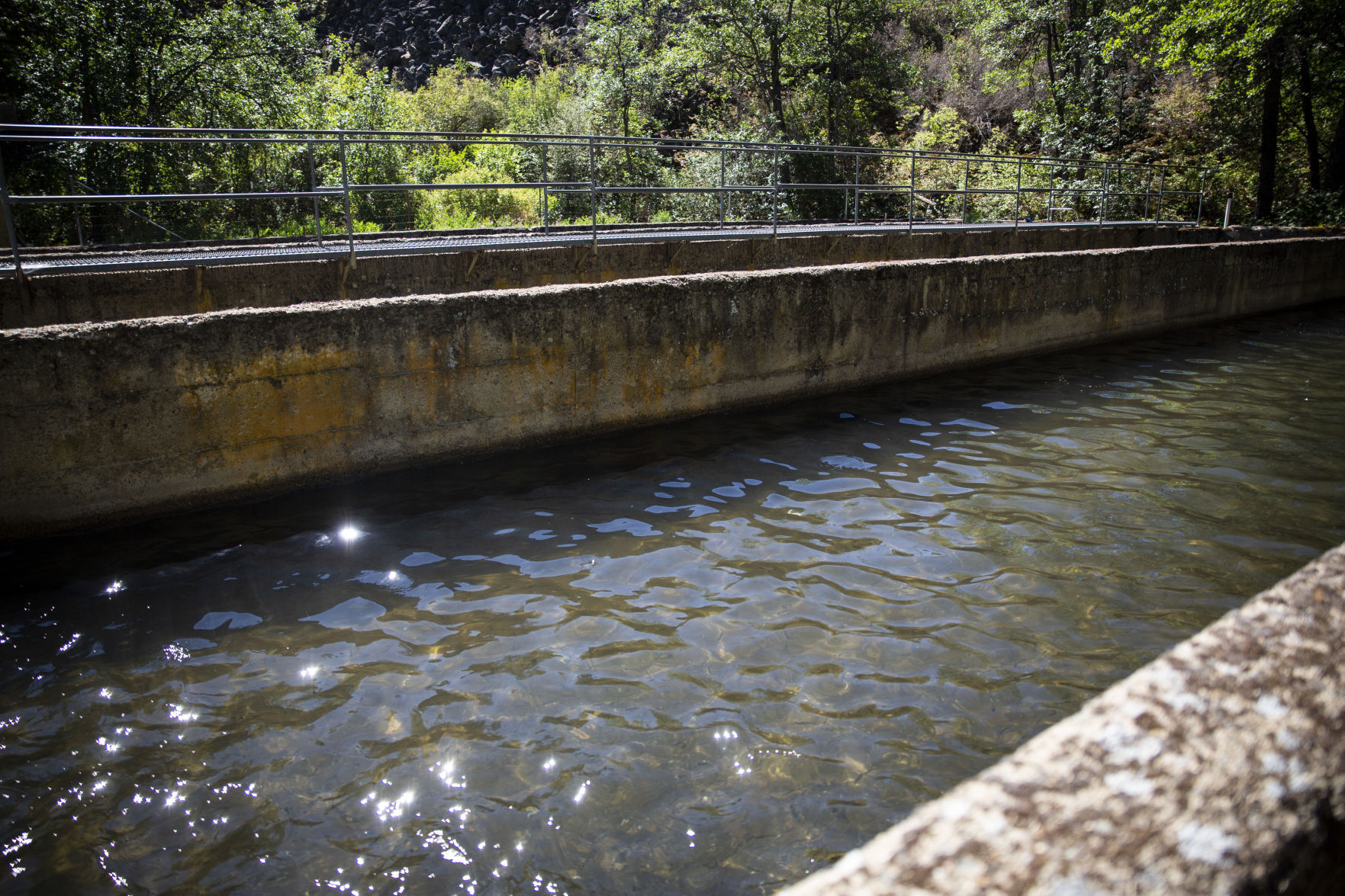 Fall Creek Hatchery